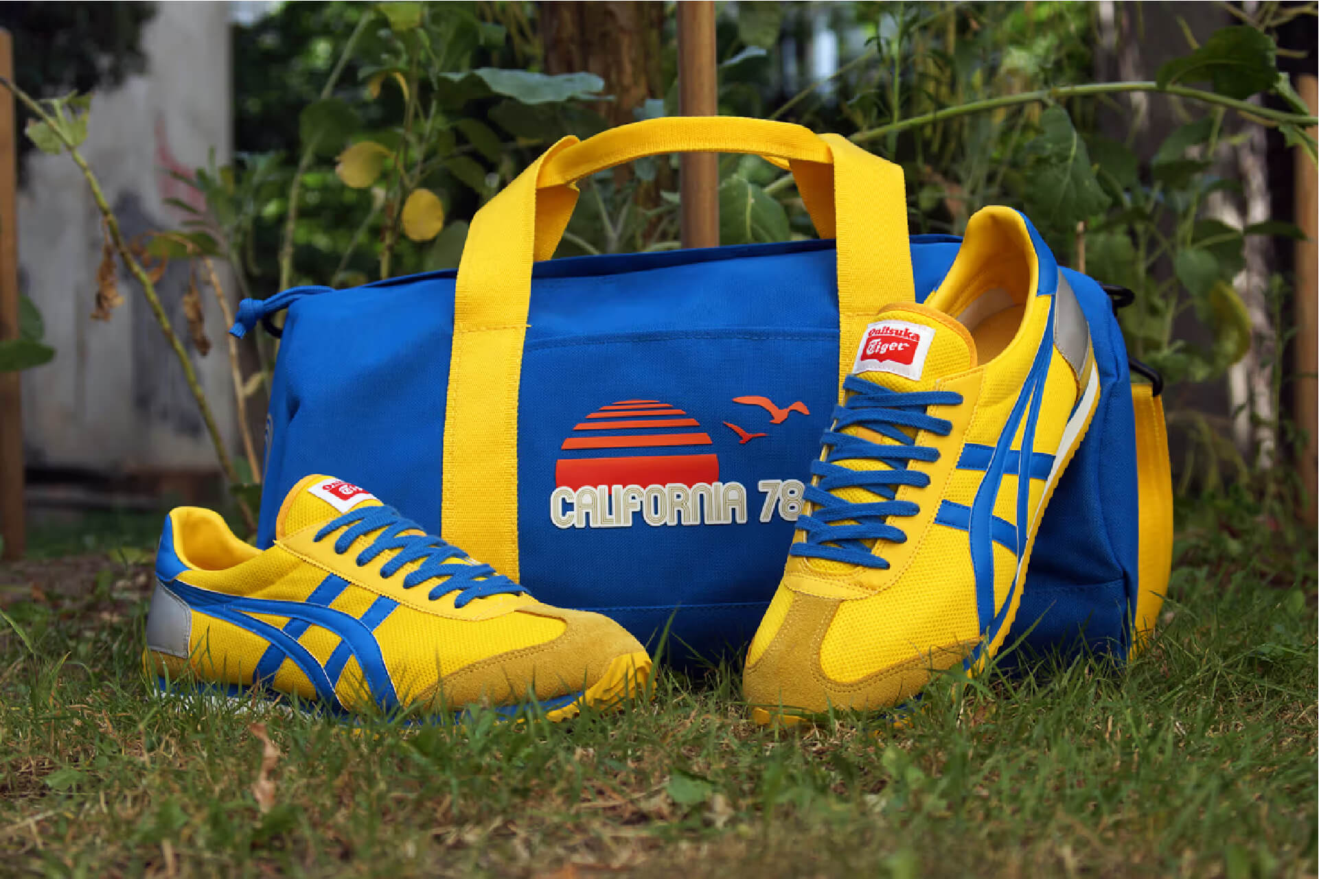 giay-onitsuka-tiger-chinh-hang 