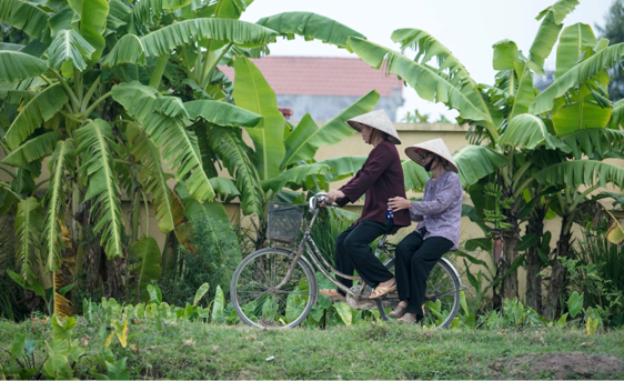 Adaptive social health insurance strategy and policy to aging population in Vietnam