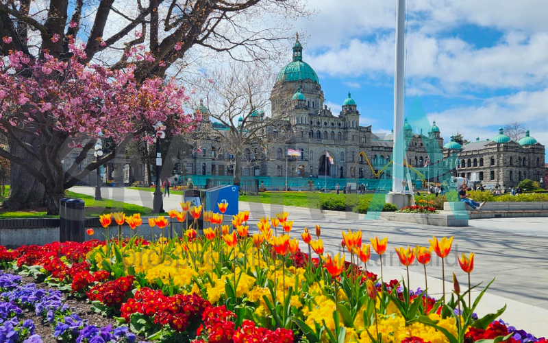 Mùa xuân tại British Columbia