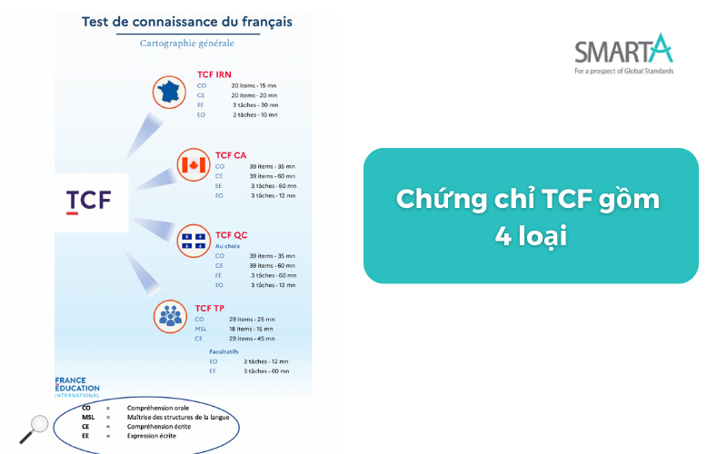 Chứng chỉ TCF gồm 4 loại: TCF TP, TCF IRN, TCF Québec, TCF Canada