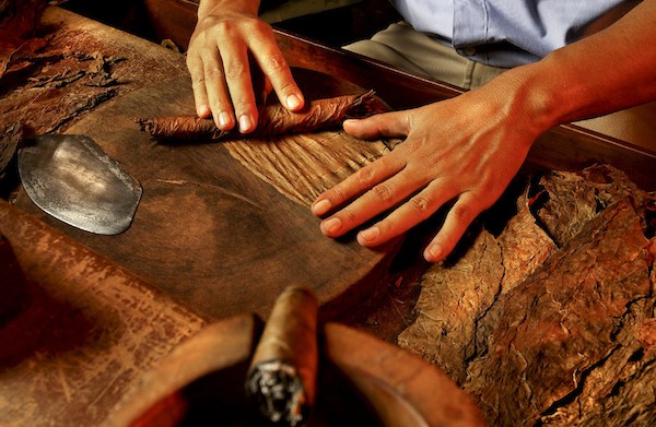image-asset.jpeg (600×391)