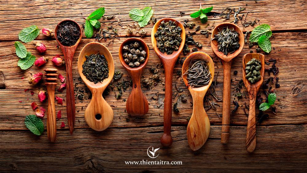 Phẩm trà là gì? Tiêu chí đánh giá phẩm trà