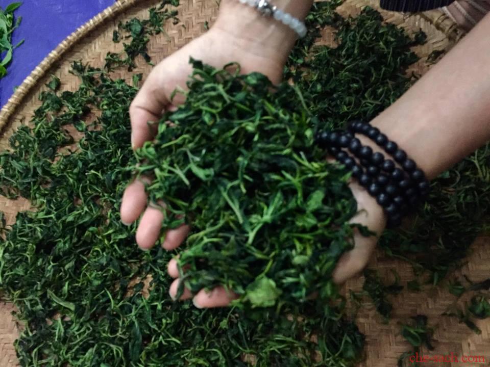 Trà Xanh Tân Cương, Thái Nguyên - vùng trồng trà xanh nổi tiếng ngon nhất Việt Nam