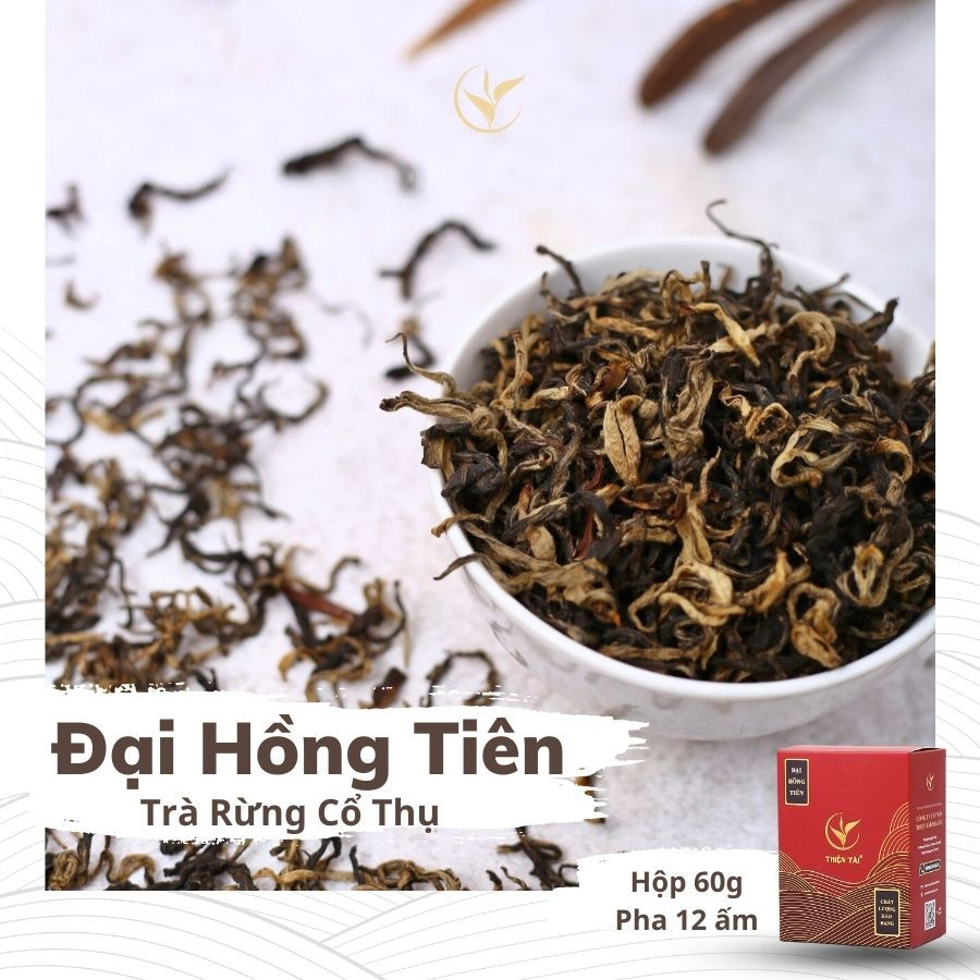 Đại Hồng Tiên - Trà Rừng Cổ Thụ Thiện Tài Trà Cổ Thụ Hà Giang Loại Nguyên Búp