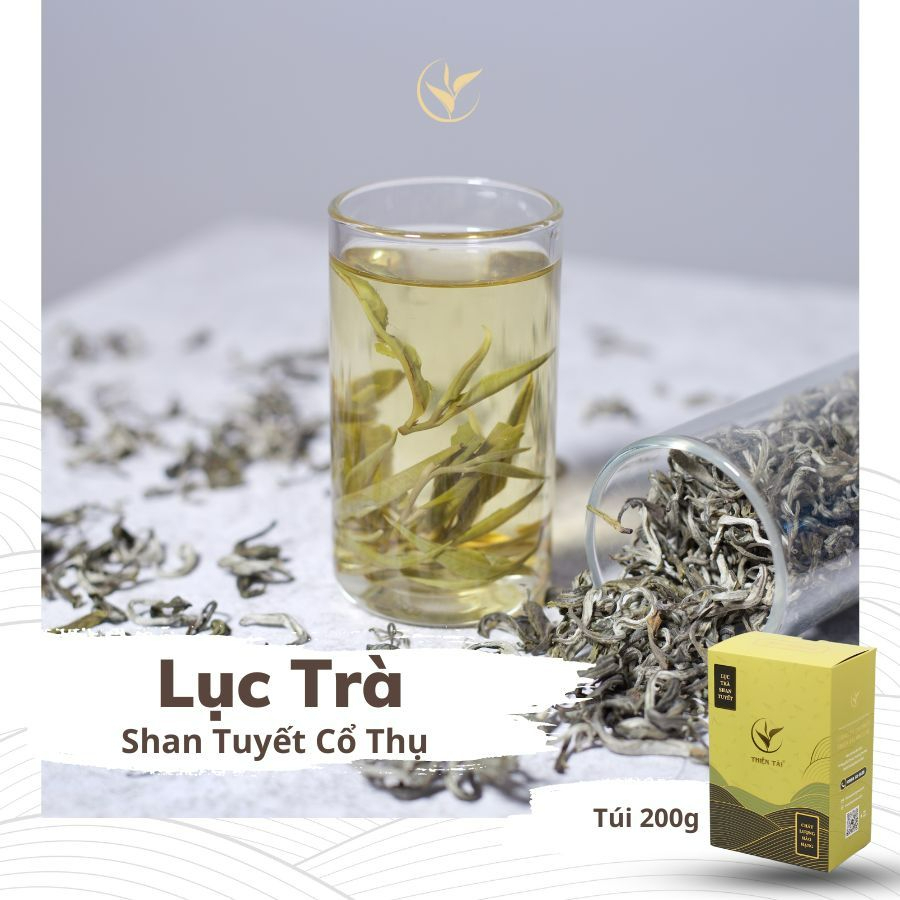 Lục Trà Shan Tuyết Cổ Thụ 1 tôm 1 lá - Hộp 200gram biếu tặng