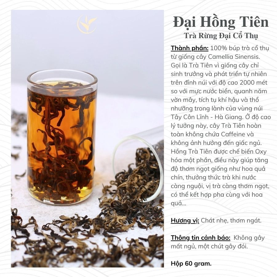 Đại Hồng Tiên - Trà Rừng Cổ Thụ Thiện Tài Trà Cổ Thụ Hà Giang Loại Nguyên Búp