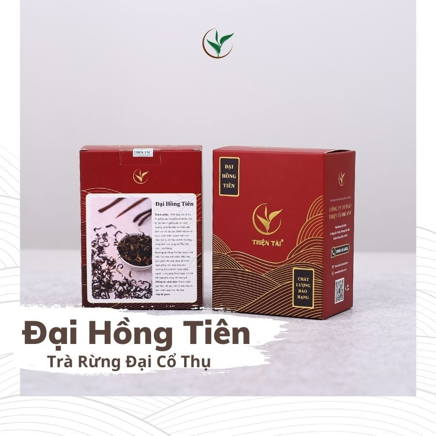 Đại Hồng Tiên - Trà Rừng Cổ Thụ Thiện Tài Trà Cổ Thụ Hà Giang Loại Nguyên Búp