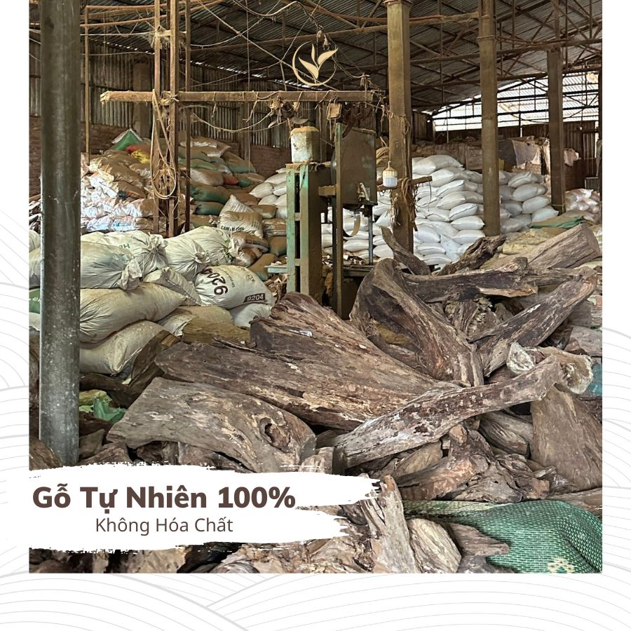 Nụ Hương Khuynh Diệp (hộp 38 nụ)