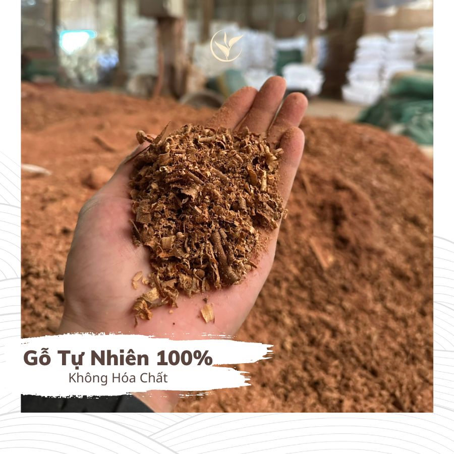 Nụ Hương Thảo Mộc Cổ Truyền (hộp 38 nụ)