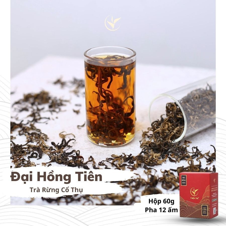 Đại Hồng Tiên - Trà Rừng Cổ Thụ Thiện Tài Trà Cổ Thụ Hà Giang Loại Nguyên Búp
