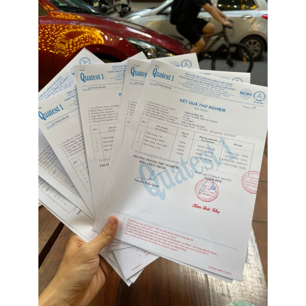 Đại Hồng Tiên - Trà Rừng Cổ Thụ Thiện Tài Trà Cổ Thụ Hà Giang Loại Nguyên Búp