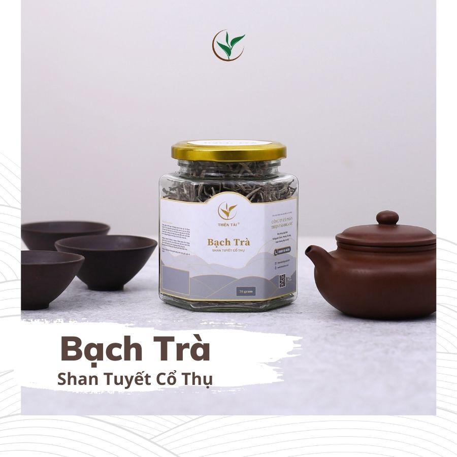 Bạch trà shan tuyết (Túi 200g)