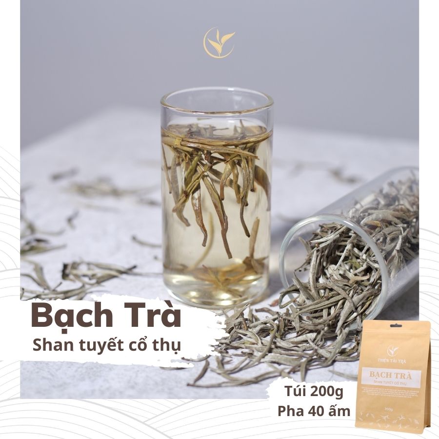 Bạch Trà Shan Tuyết Cổ Thụ Túi 200g