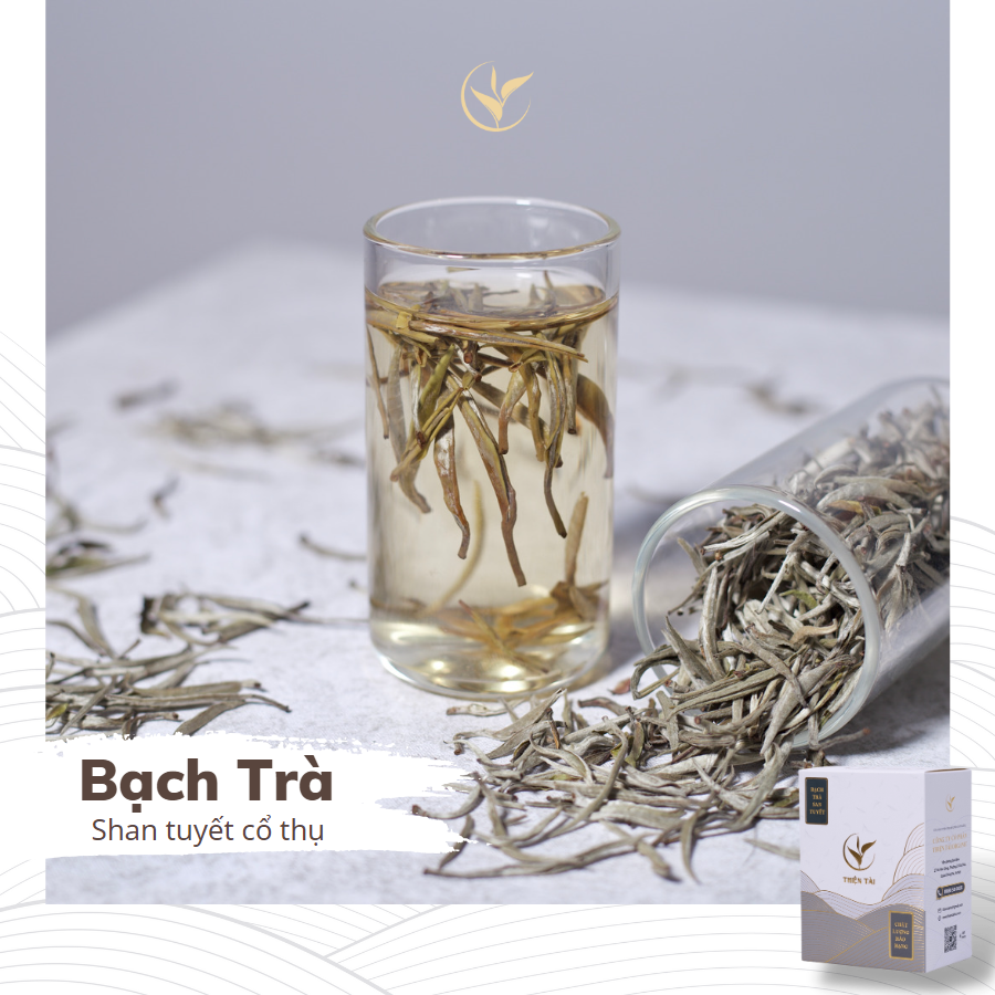 Bạch Trà Shan Tuyết Hảo Hạng Hộp 60g