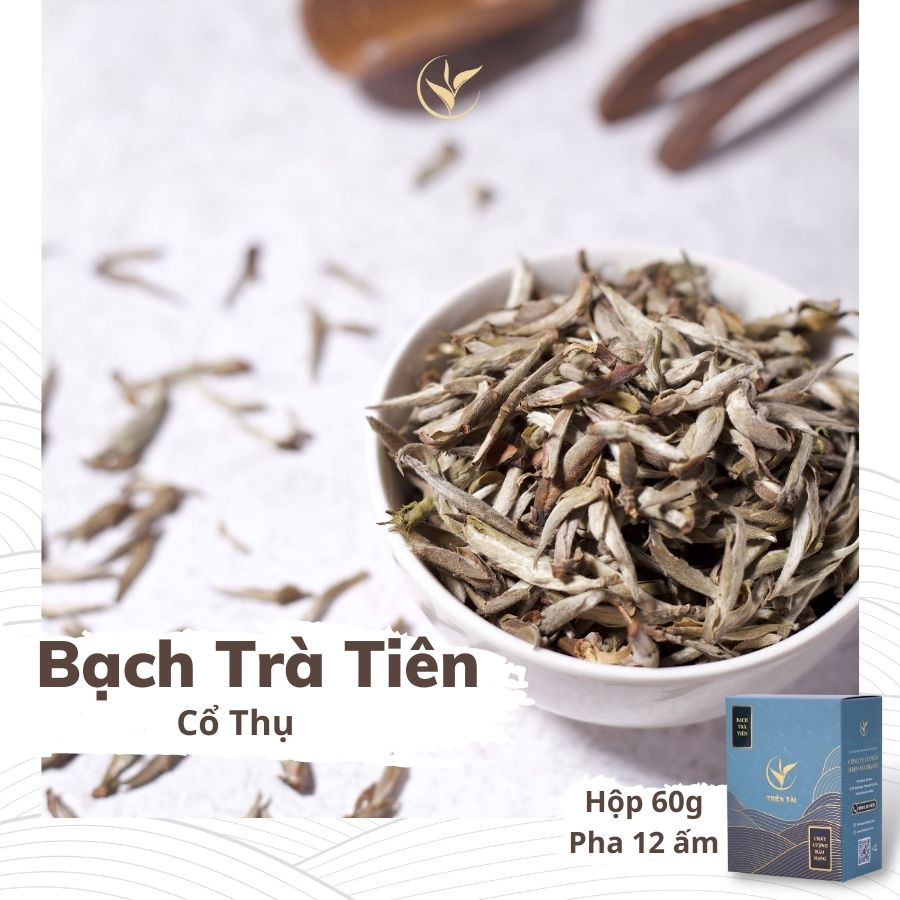 Bạch Trà Tiên Hảo Hạng Hộp 60g