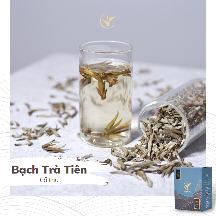 Bạch Trà Tiên Hảo Hạng Hộp 60g