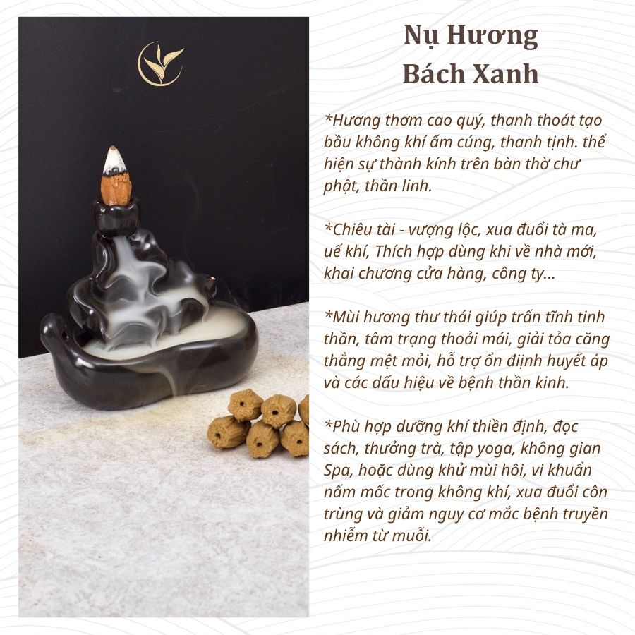 Nụ Hương Bách Xanh Mộc Châu (Hộp 38 Nụ)