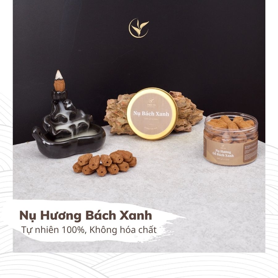 Nụ Hương Bách Xanh Mộc Châu (Hộp 38 Nụ)