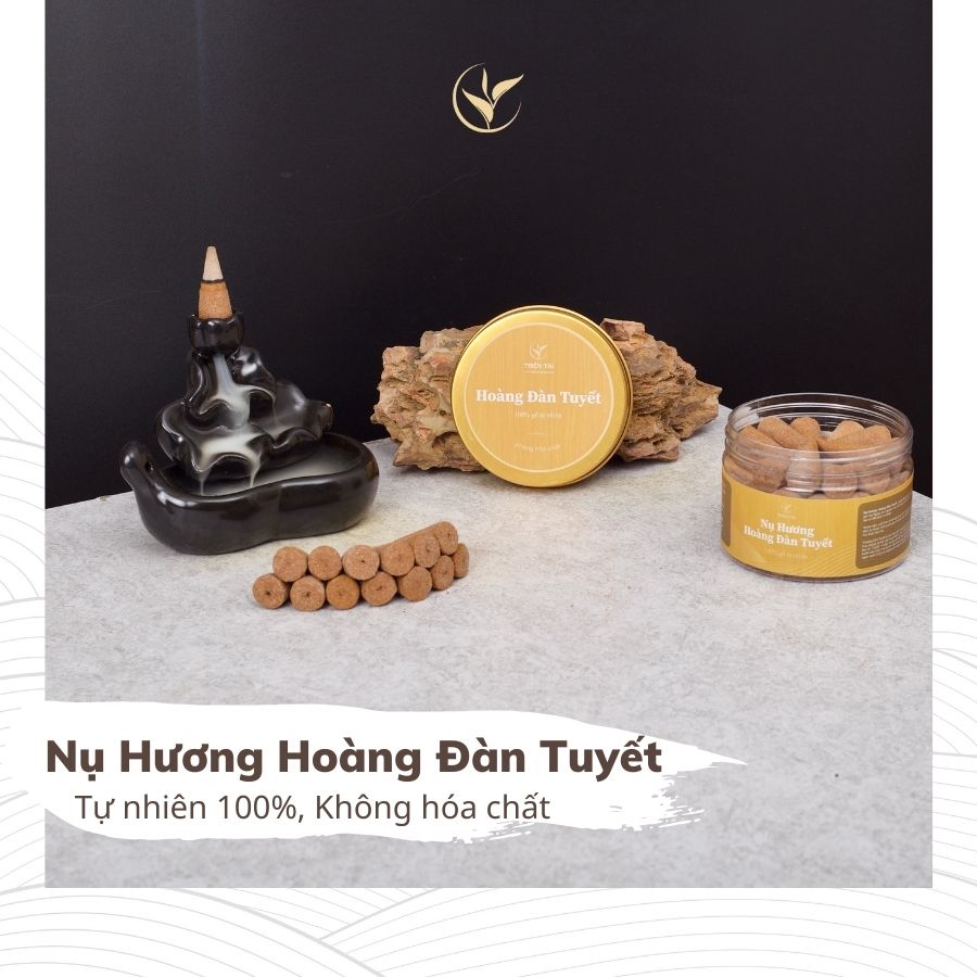 Nụ Hương Hoàng Đàn Tuyết Lạng Sơn (hộp 38 nụ)