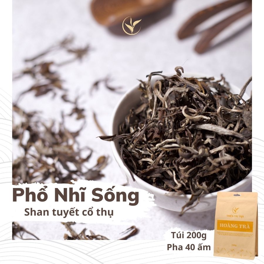 Hoàng Trà Shan Tuyết Cổ Thụ (Phổ Nhĩ Sống Rời) Túi 200g