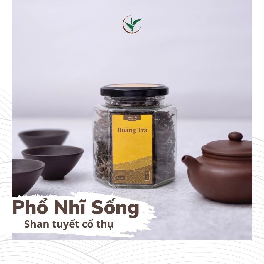Trà Phổ Nhĩ Sống Rời (Hoàng Trà Shan Tuyết) Hũ Thủy Tinh 70g