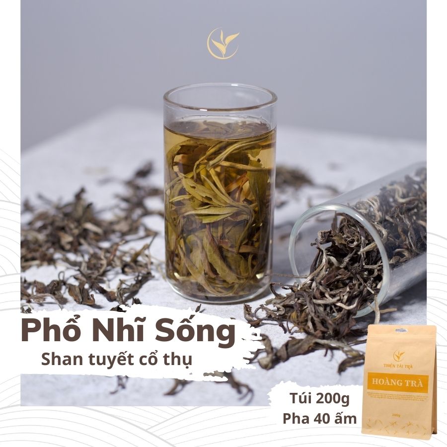 Hoàng Trà Shan Tuyết Cổ Thụ (Phổ Nhĩ Sống Rời) Túi 200g