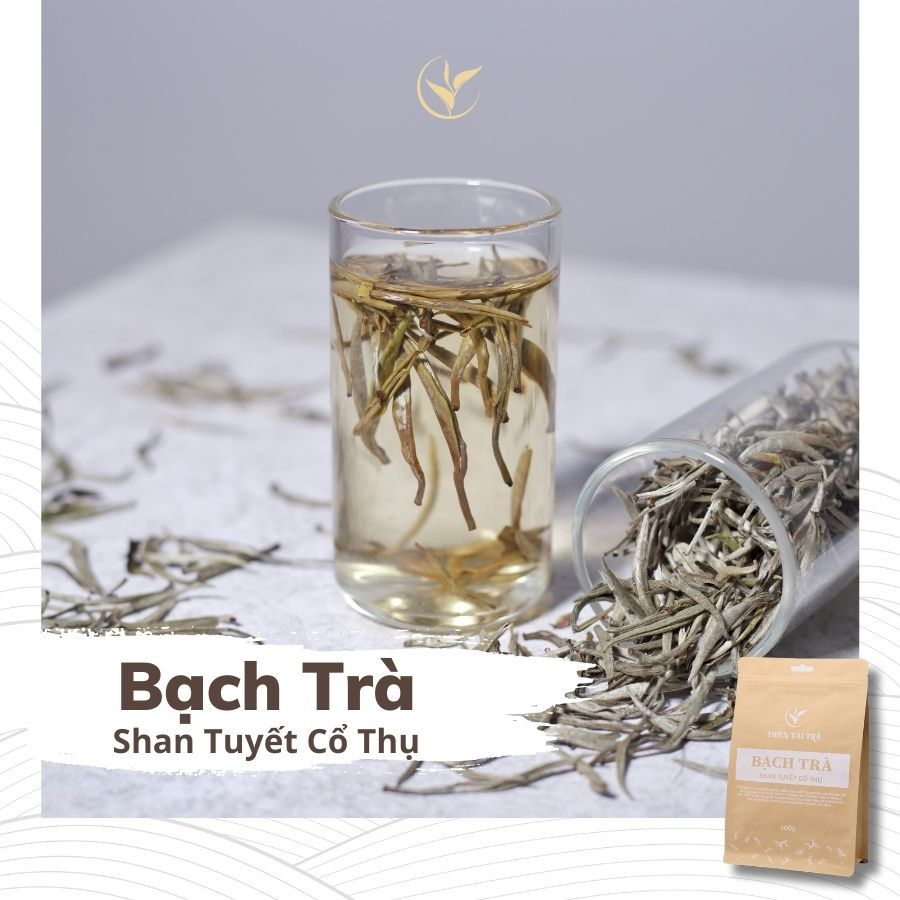 Bạch trà shan tuyết (Túi 200g)