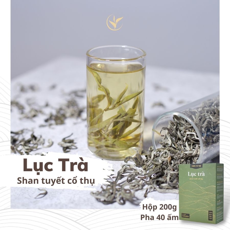 Lục Trà Shan Tuyết Cổ Thụ 1 tôm 1 lá - Hộp 200gram biếu tặng