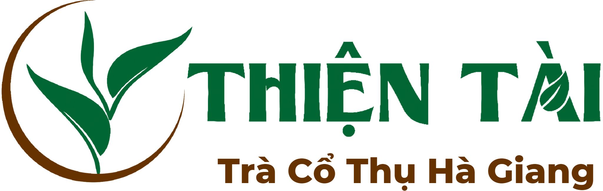 THIỆN TÀI TRÀ