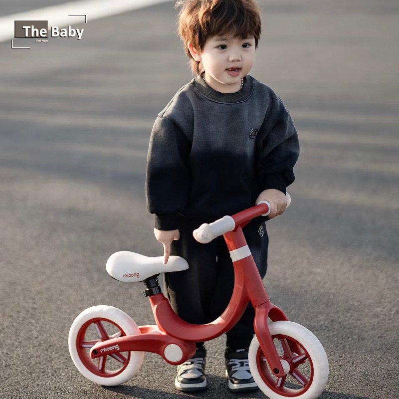 Xe thăng bằng MLOONG nhập khẩu cao cấp / MLOONG Walker