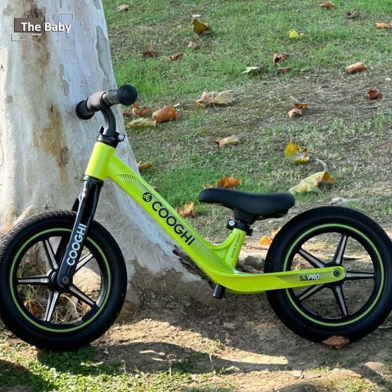 Xe thăng bằng Cooghi nhập khẩu cao cấp / Cooghi Walker