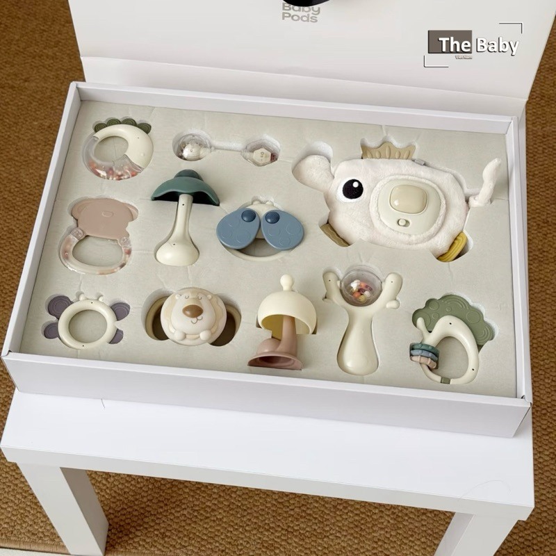 Bộ đồ chơi gặm nướu BabyPobs cao cấp / Babypobs Toys