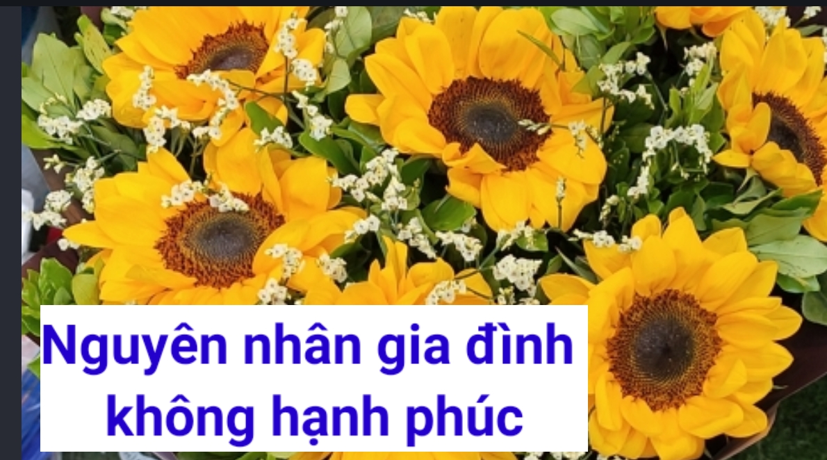 Tại sao gia đình không hạnh phúc?