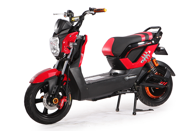 Xe đạp Điện