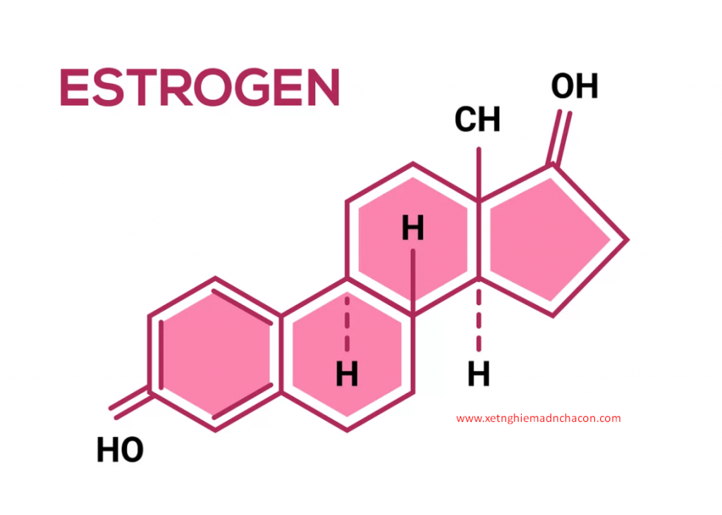Hormone Estrogen: Vai trò, Tác dụng và Các Loại Estrogen Quan Trọng