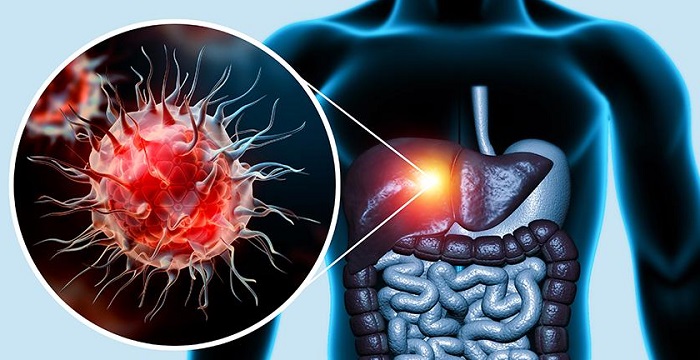 Cảnh Báo: Những Dấu Hiệu Gan Bị Tổn Thương Bạn Không Thể Bỏ Qua