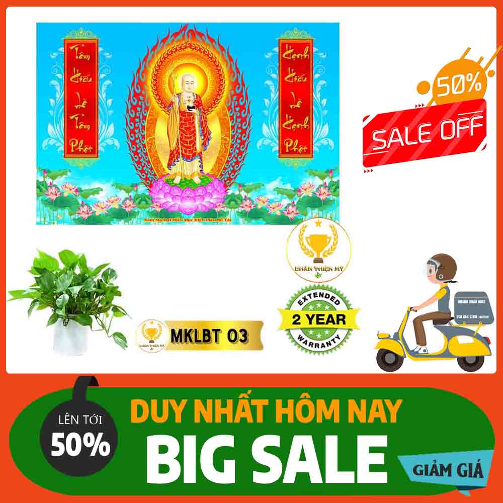 Tranh Mục Kiền Liên Bồ Tát MS 03