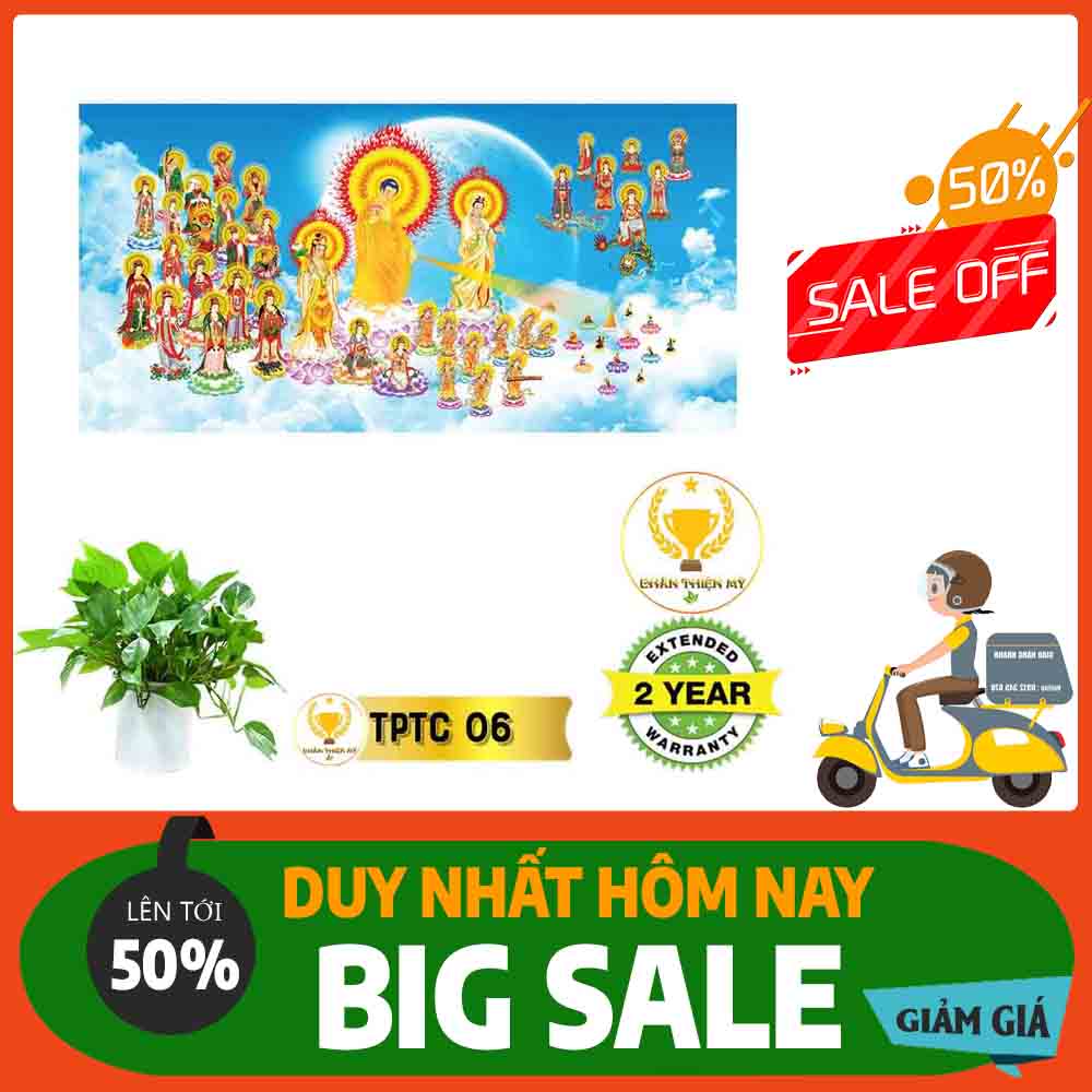 Tranh Tây Phương Tam Thánh MS 06
