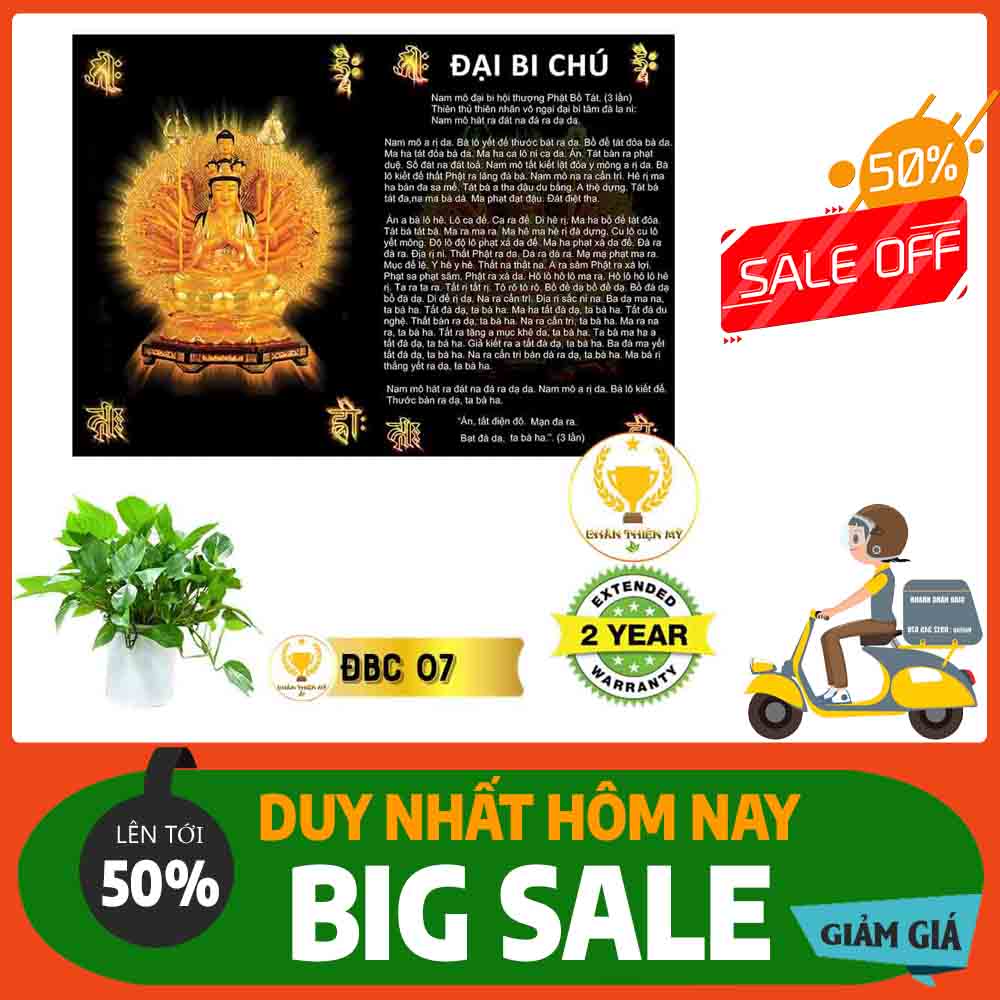 Tranh Chú Đại Bi MS 07