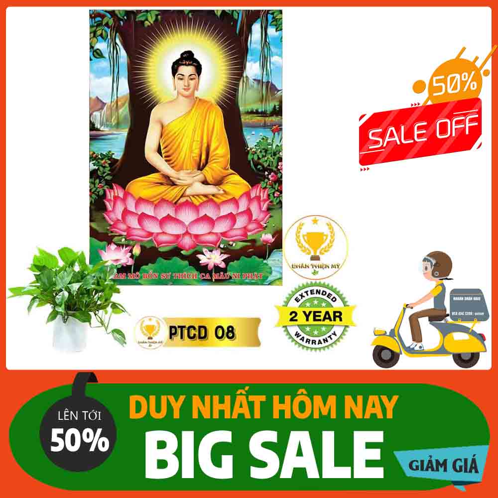 Tranh Phật Thích Ca Mâu Ni MS 08