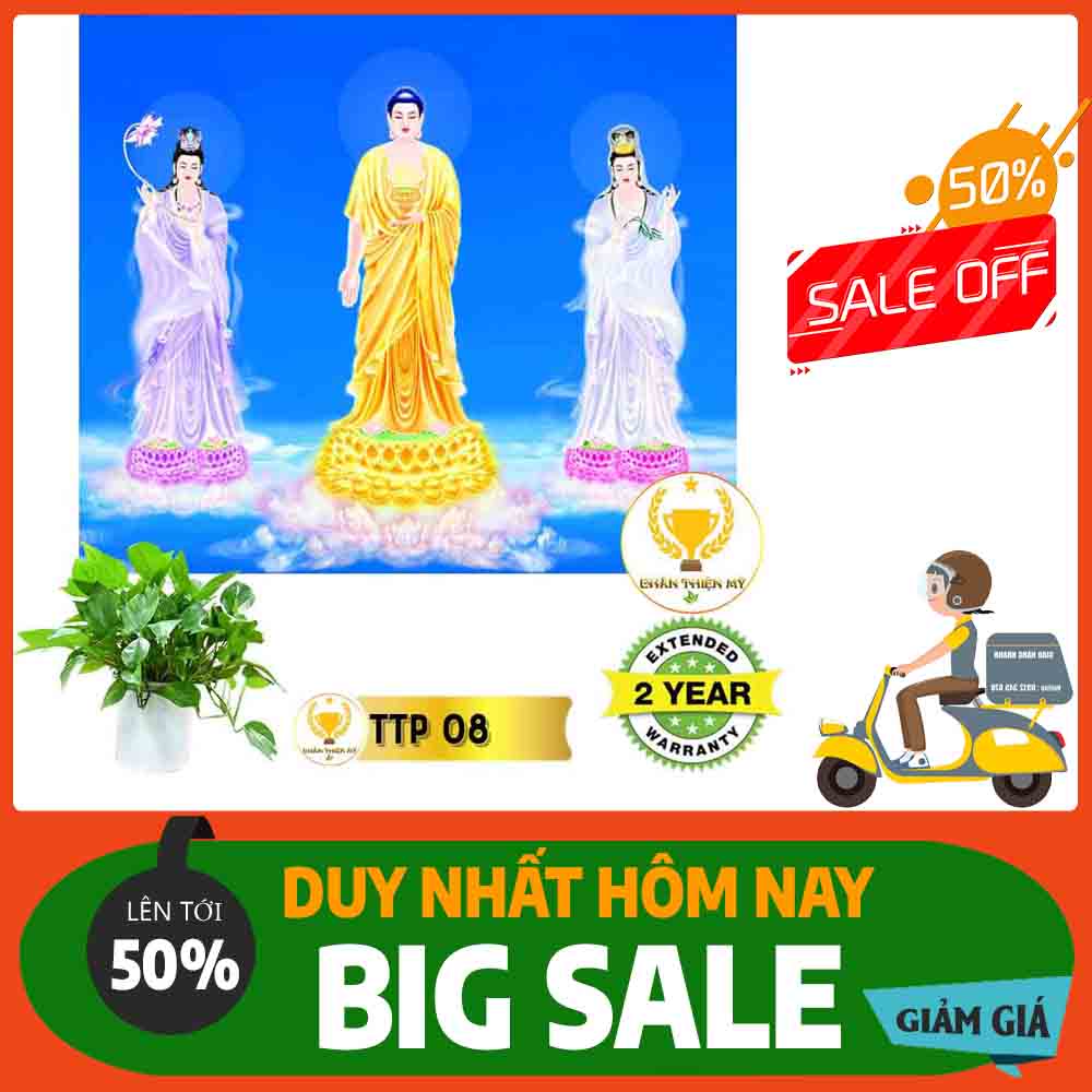 Tranh Tam Thế Phật MS 08