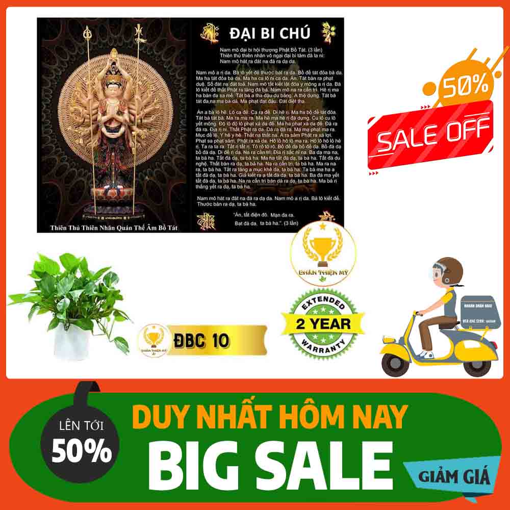 Tranh Chú Đại Bi MS 10