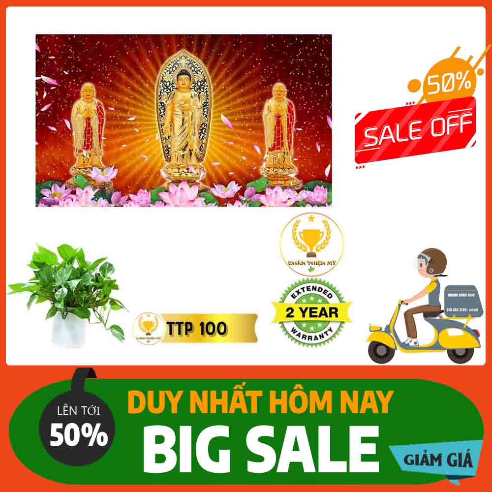 Tranh Tam Thế Phật MS 100