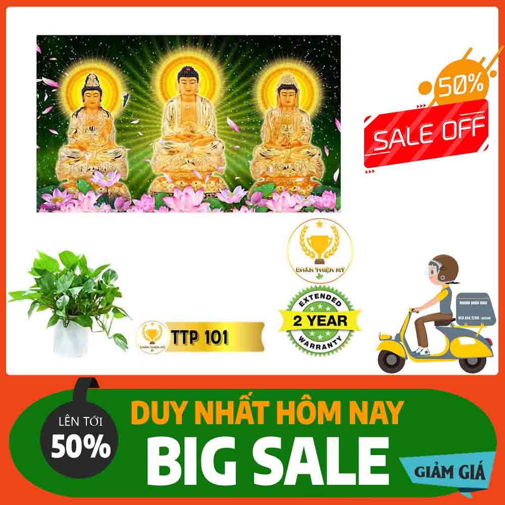 Tranh Tam Thế Phật MS 101