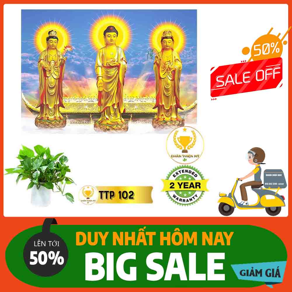 Tranh Tam Thế Phật MS 102