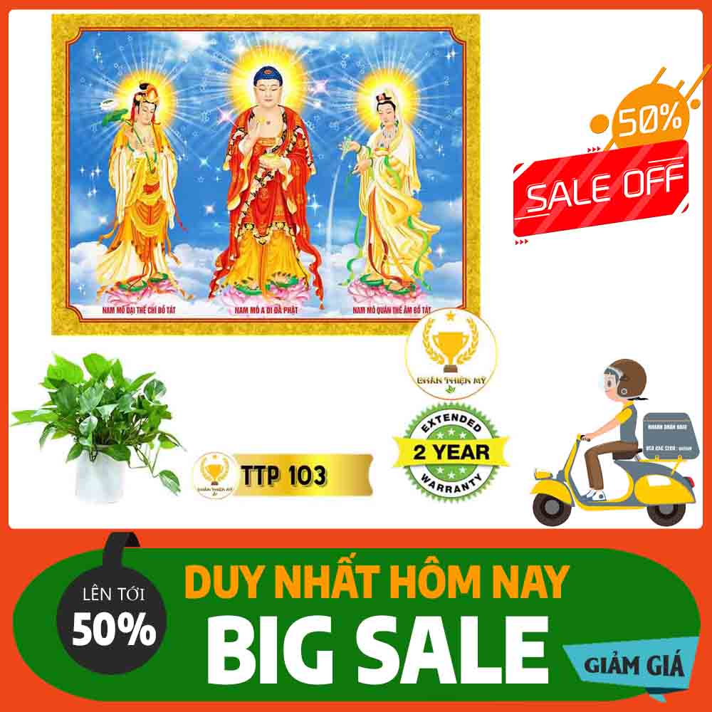 Tranh Tam Thế Phật MS 103