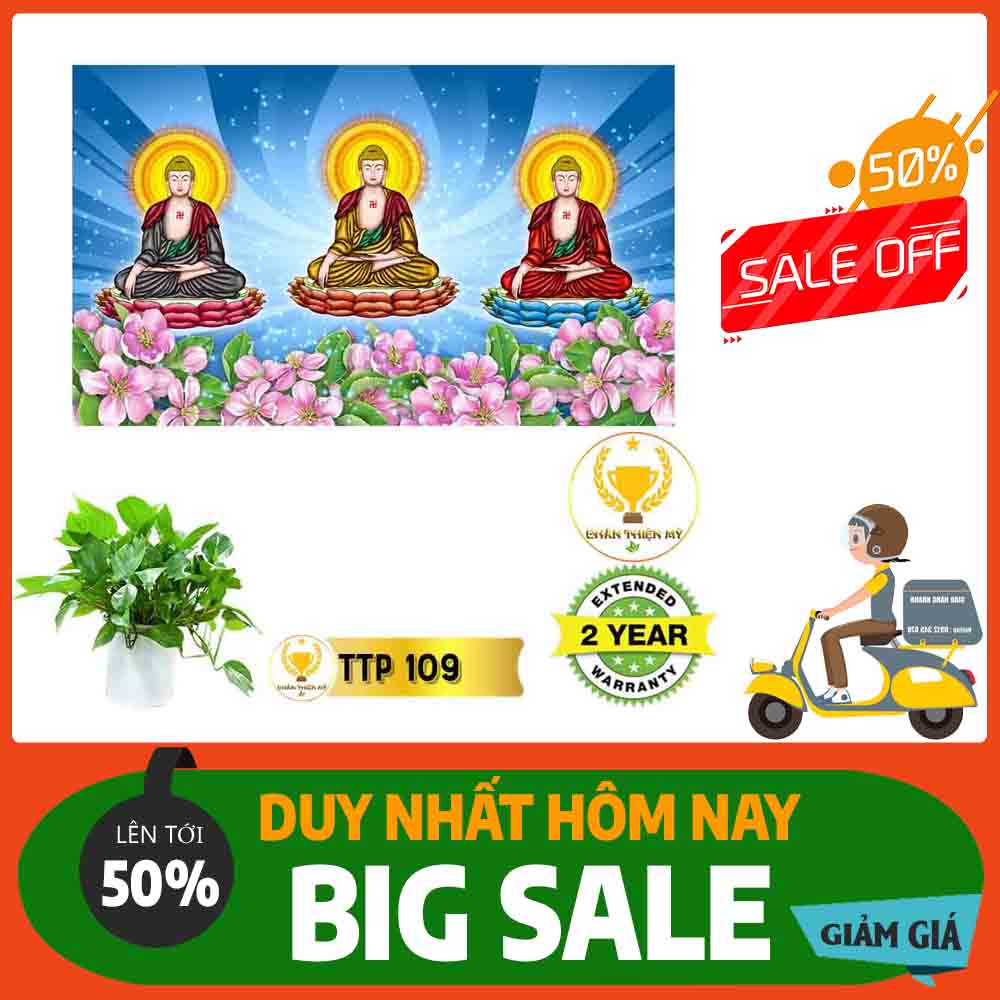 Tranh Tam Thế Phật MS 109
