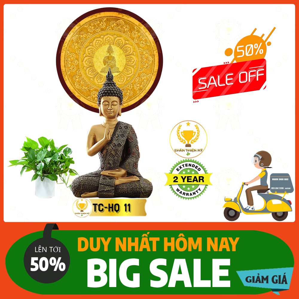 Hào quang trúc chỉ in TC 11