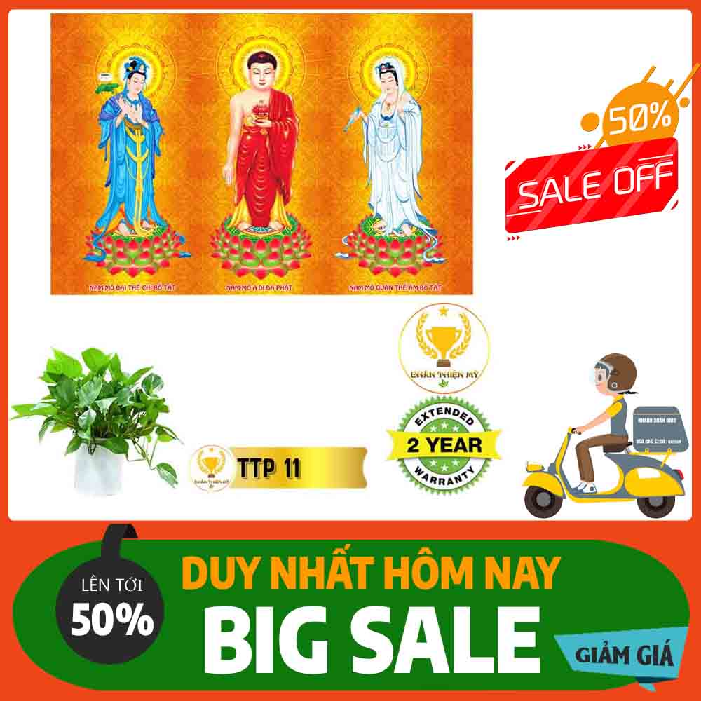Tranh Tam Thế Phật MS 11
