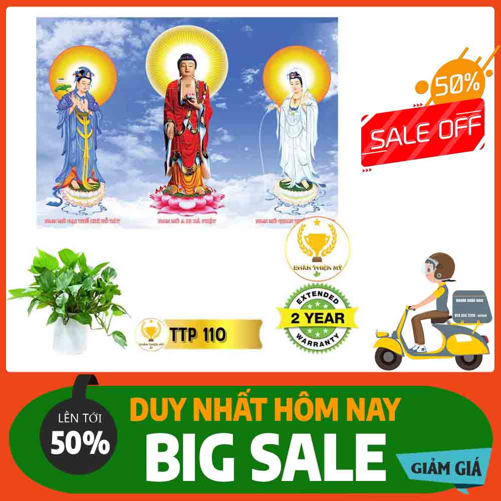 Tranh Tam Thế Phật MS 110